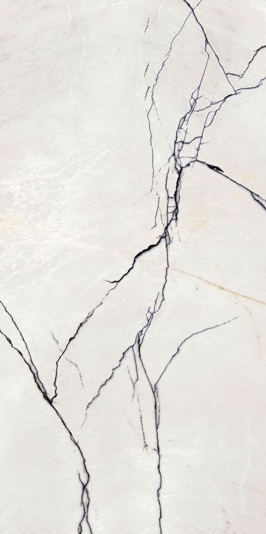 B&W Breach Naturale 24 x 48